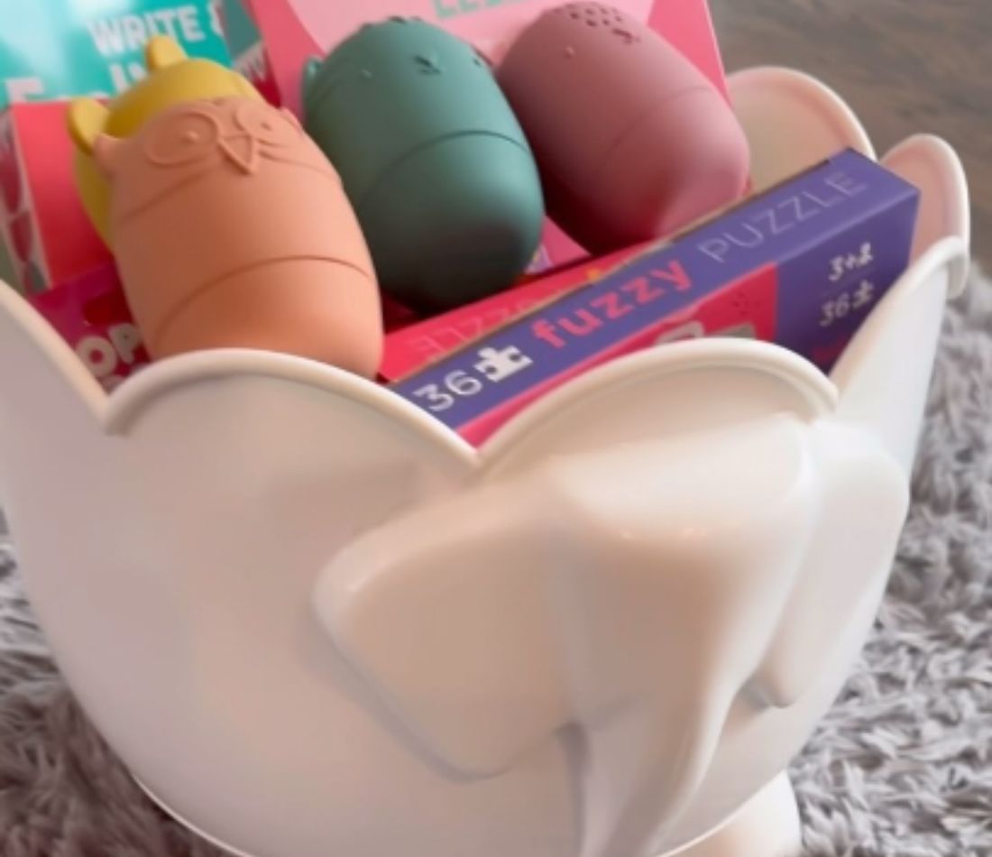 Bathroom Toy Hanger